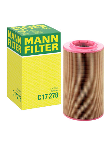 Filtre à air Mann Filter C17278 